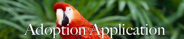 adoption-application-button-mars