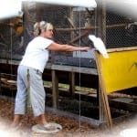 LuAnn Apple, founder and executive director of the Melbourne Avian Rescue Sanctuary, with parrot Slick