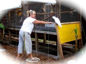 LuAnn Apple, founder and of the Melbourne Avian Rescue Sanctuary LuAnn Apple, founder and executive director of the Melbourne Avian Rescue Sanctuary, with parrot Slick