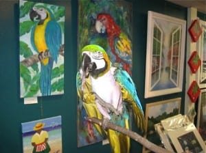 Cortez on perch