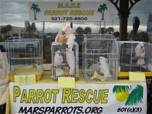 florida-parrot-rescue-aloha The M.A.R.S. booth at the Aloha hospital in Melbourne