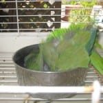 img_0002