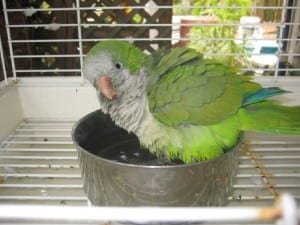 img_0003