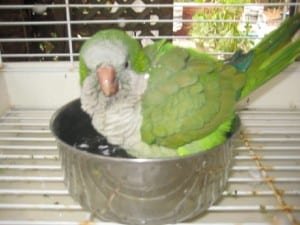 img_0004