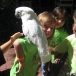 img_0782 img_0782