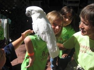 img_0782