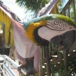 img_0783 img_0783