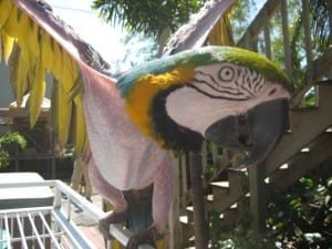 img_0783