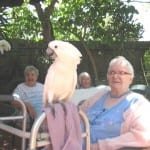 img_0884 img_0884