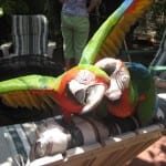 img_0888 img_0888