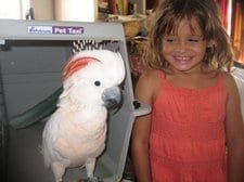IMG 2476