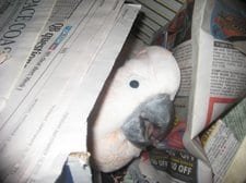 IMG 2574