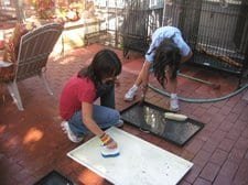 IMG 3139