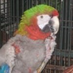 IMG_3368