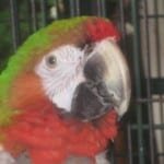 IMG_3370