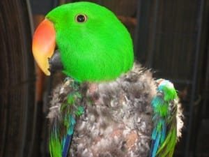 IMG_4213
