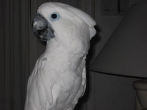 IMG_0027