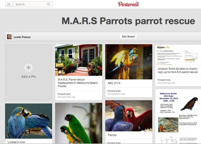 M.A.R.S Parrots parrot rescue